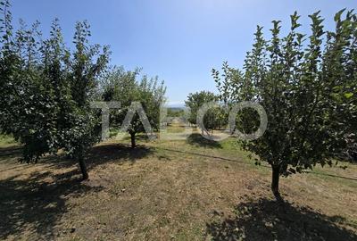 Casa singur in curte cu teren liber 2667 mp 6 camere 4 bai Daia - 2