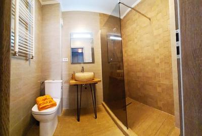 Apartament cu 2 camere decomandat, mobilat în Dristor - 4
