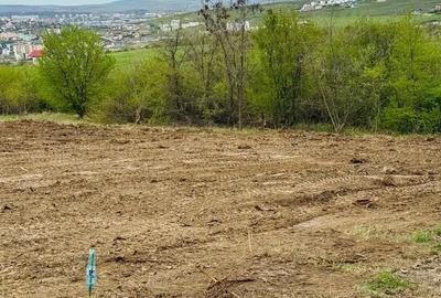 Teren de 100 mp, în Vișan - 5