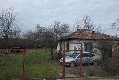 Teren de 24333 mp, în Albești - 2