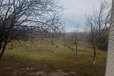 Teren intravilan Drajna 4062mp - 2