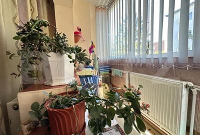 Apartament cu 2 camere semidecomandat în Cetate - 3