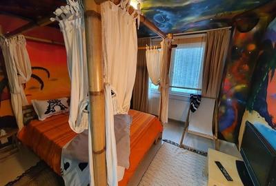 Inchiriere apartament cu 2 camere Dristor - 6