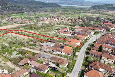 Casă cu 3 camere cu Teren 2500 Mp în Burdea - 20