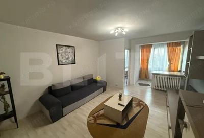 Garsonieră semidecomandată în Brazda lui Novac - 2