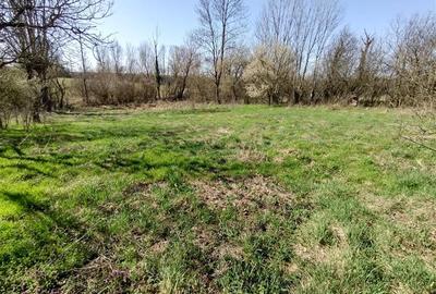 Casă individuală cu 8 camere cu Teren 3800 Mp în Răchitova - 6