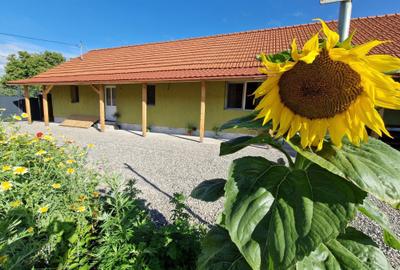 Casă cu 4 camere decomandat cu Teren 800 Mp în Vama Buzăului - 8