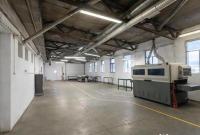 Spațiu comercial, de 1,341 mp, în Valea Crișului - 1