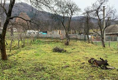 Teren de 1500 mp, în Corbi - 2
