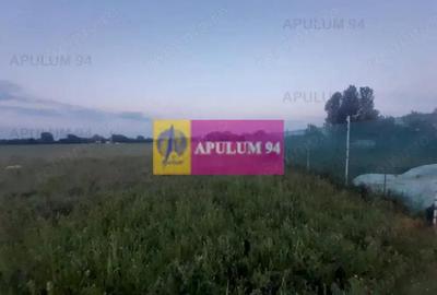Teren de 3820 mp, în 1 Decembrie - 15