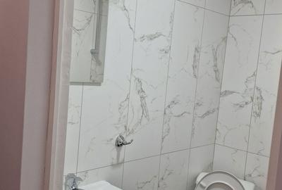 Garsonieră decomandată în Dosu Bricii - 3