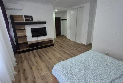 Garsonieră semidecomandată în Ultracentral - 8