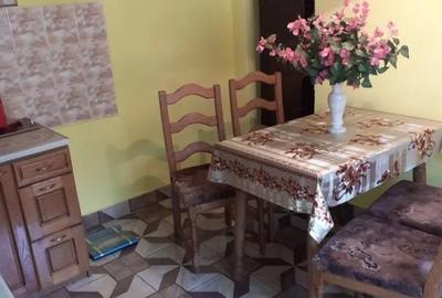 Casă cu 9 camere cu Teren 2200 Mp în Vasile Goldiș - 6