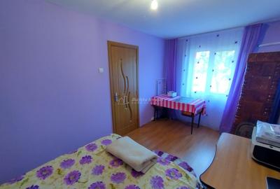 Oravita, 2 Cam, Parter, Conf.1, Mobilat Utilat, Pret Negocia - 18