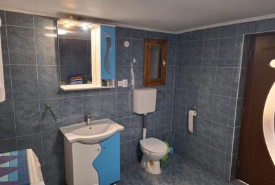 Casă cu 5 camere în Borlovenii Noi - 4
