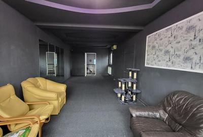 De inchiriat spatiu comercial P+M, Prelungirea Ferentari - 1