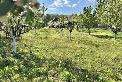 Casă cu 2 camere în Alexeni - 5