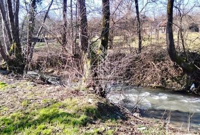 Casă cu 2 camere cu Teren 2000 Mp în Laz - 17