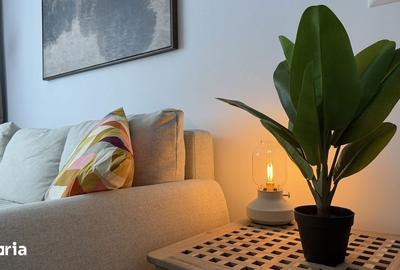 Apartament cu 2 camere în Sălăjan - 13