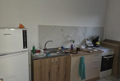 Bulevardul  Basarabia - 3 minute Metrou Costin Georgian - Apartament 2 camere - 11