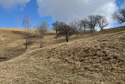 Vanzare Teren cu Punct de Belvedere in Moieciu zona Magura-Pestera - 11