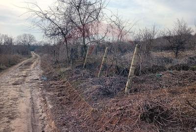 Teren de 2301 mp, în Cârcea - 2