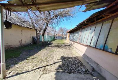 Casă cu 4 camere cu Teren 800 Mp în Vadu Părului - 9