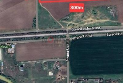 Teren Construcții intravilan de 1500 mp, în Domnești - 19