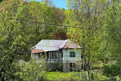 Casă cu 3 camere în Central - 11