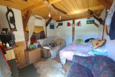 Teren extravilan 73 ari + cabana+lac de pesti,zona Slatinita - 12