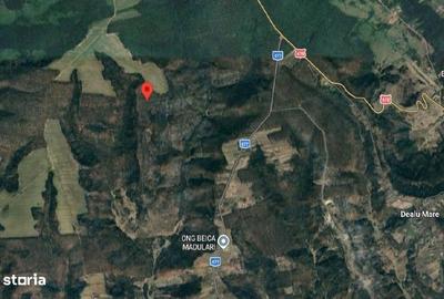 Teren de 1000 mp, în Central - 4