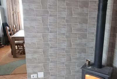 Casă cu 5 camere cu Teren 3000 Mp în Mitocu Dragomirnei - 1