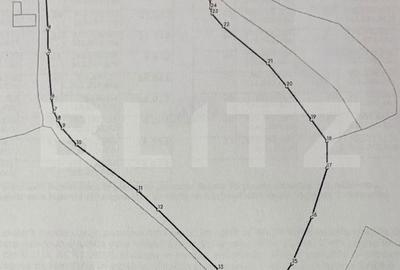 Teren de 16871 mp, în Almașu Mare - 3