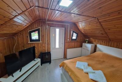 Pensiune la Cheia, modernizata, functionala in totalitate, vedere mirifica - 19