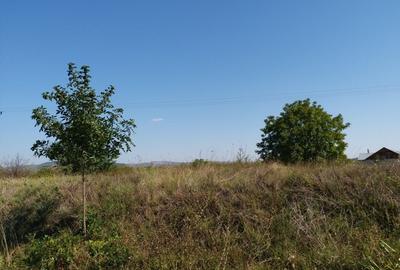 Teren 15000 mp Vernesti, Buzau cu PUZ - 5
