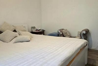 Apartament cu 3 camere decomandat în Zarand - 21