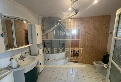 Casă cu 4 camere cu Teren 4520 Mp în Lerești - 10