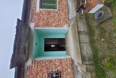 Vand casa in serbia jasa tomic - 1