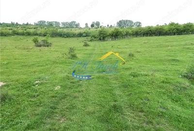 Teren de 4000 mp, în Voila - 5
