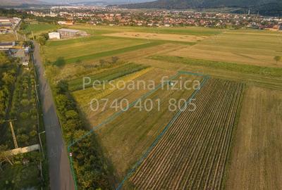 Teren de 1800 mp, în Gilău - 3