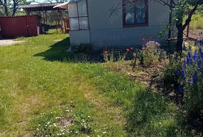 Casă cu 4 camere cu Teren 1400 Mp în Ghirdoveni - 9