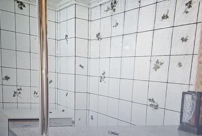 Apartament cu 3 camere decomandat în Brâncoveanu - 5