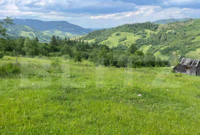 Teren de vanzare, 2 ha - Campulung Moldovenesc, zona Sandru - 4