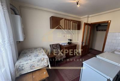 APARTAMENT 2 CAMERE 2 BALCOANE ETAJ 4 GRUI CAMPULUNG - 29
