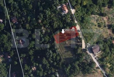 Teren de 1000 mp, în Drumul Poienii - 3