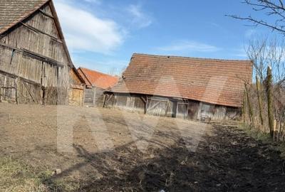 Casa cu potential deosebit in Vesud - ideala pentru un nou inceput la tara - 2