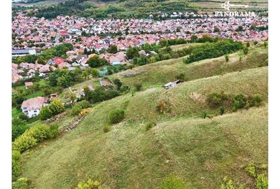 Teren intravilan de aproape 3 ha la liziera pădurii | cartierul Gloria - 6
