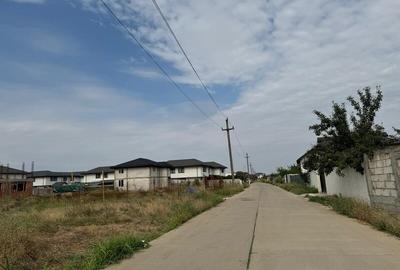 Vanzare Teren Rezidentiak  Magurele 5000mp - 3