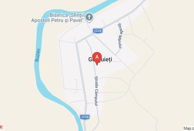 Teren agricol extravilan de 60.771 mp, în Gurguieți - 1