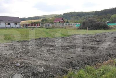 Teren Livezeni 8 ari Teren Livezeni 8 ari - 3